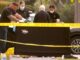 Two dead, three injured in Tennessee VolunteersBeach stabbing. One person is in custody